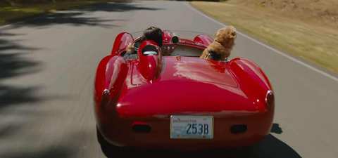 A cute dog movie...again. A cute dog movie...again.